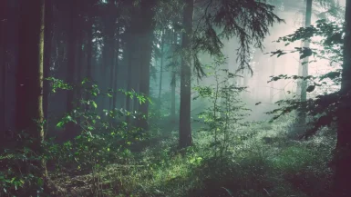 Bavarain-forest:Bavarian Folklore and Mythology