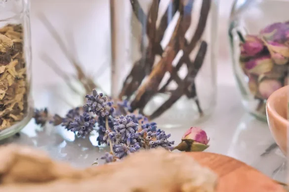 Bavarian Spa and Wellness Retreats:herbal-steam